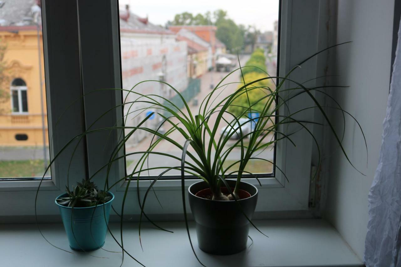 Apartment F6 Osijek Bagian luar foto